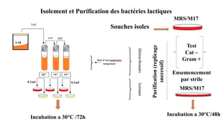 Processus de fermentation spontanee[1].pptx