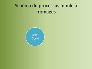 Schéma du processus moule à
         fromages



       Servi
       Doryl
 