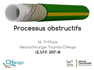 M. Triffaux
Neurochirurgie Tournai CHwapi
I.E.S.P.P. 2017-18
Processus obstructifs
 