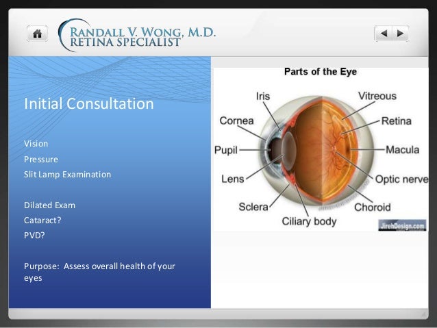 Treatment for Floaters What is Vitrectomy or FOV?