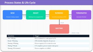 Understanding Process vs Program in Operating Systems: Core Concepts ...