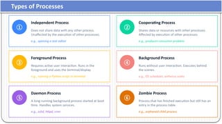 Understanding Process vs Program in Operating Systems: Core Concepts ...