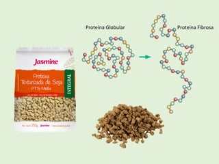 Proteína Globular Proteína Fibrosa
 