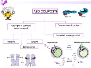 AZO COMPOSTI
Proteine Enzimi
Canali ionici
Costruzione di probe
Materiali fotoresponsivi
Usati per il controllo
temporaneo di:
 