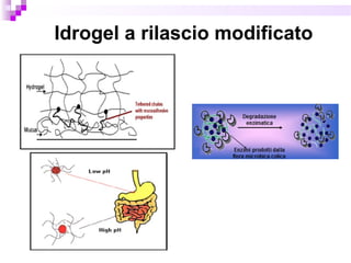 Idrogel a rilascio modificato
 