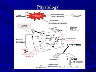 PhysiologyPhysiology
 