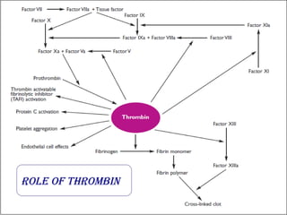Role of thRombin
 