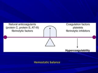 Hemostatic balance
 