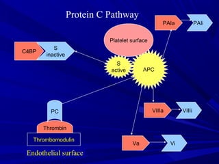 Protein C Pathway
C4BP
S
inactive
Thrombin
Endothelial surface
PC
Thrombomodulin
S
active APC
Platelet surface
Va Vi
VIIIa VIIIi
PAIa PAIi
 