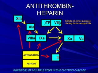 ANTITHROMBIN-ANTITHROMBIN-
HEPARINHEPARIN
INHIBITORS OF MULTIPLE STEPS IN THE CLOTTING CASCADEINHIBITORS OF MULTIPLE STEPS IN THE CLOTTING CASCADE
Xa Va
TF VII(a(
IIa
XIIa
XIa
VIIIa IXa
ANTITHROMBIN
HEPARIN
Inhibits all serine protease
clotting factors except VIIa
 