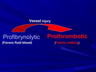 Profibrynolytic Prothrombotic
Vessel injury
)Favors fluid blood( )Favors clotting(
 