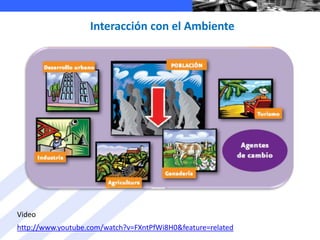 Interacción con el Ambiente




Video
http://www.youtube.com/watch?v=FXntPfWi8H0&feature=related
 
