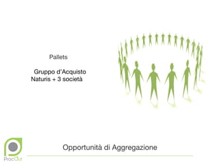 Pallets

 Gruppo d’Acquisto
Naturis + 3 società




           Opportunità di Aggregazione
 