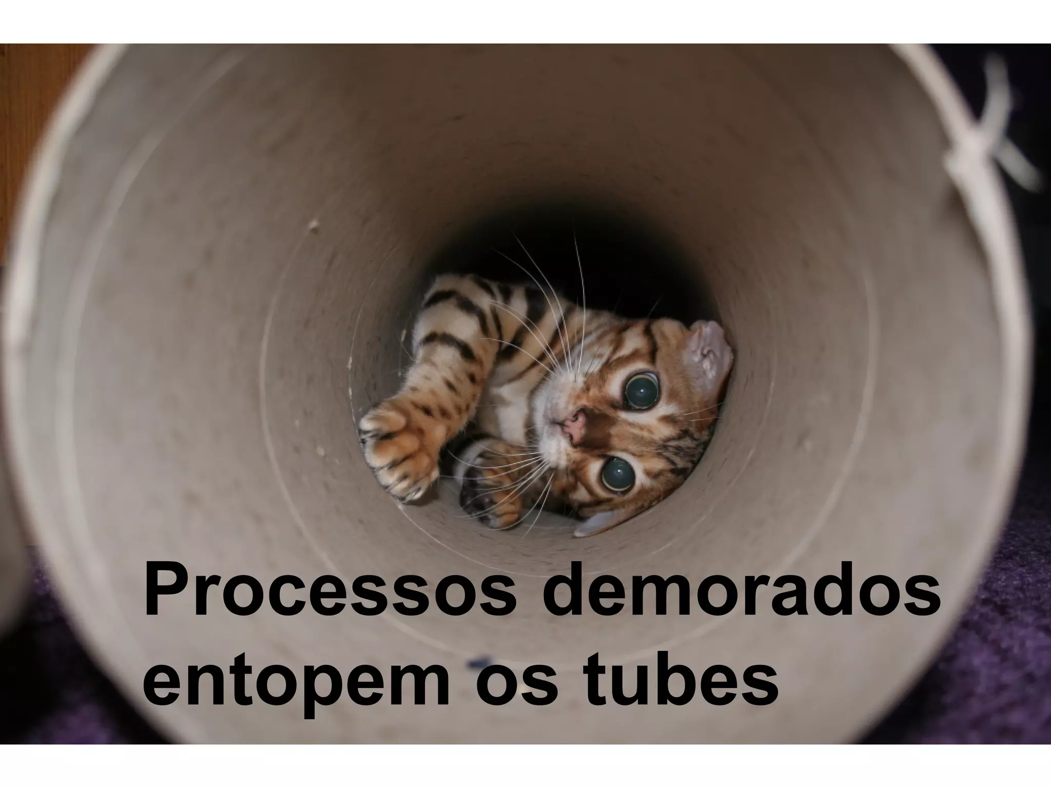 Processos demorados
entopem os tubes
 