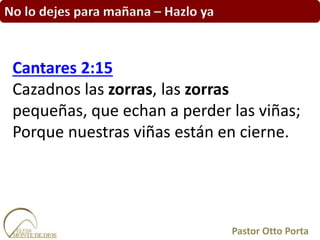 No lo dejes para mañana – Hazlo ya
Cantares 2:15
Cazadnos las zorras, las zorras
pequeñas, que echan a perder las viñas;
Porque nuestras viñas están en cierne.
Pastor Otto Porta
 