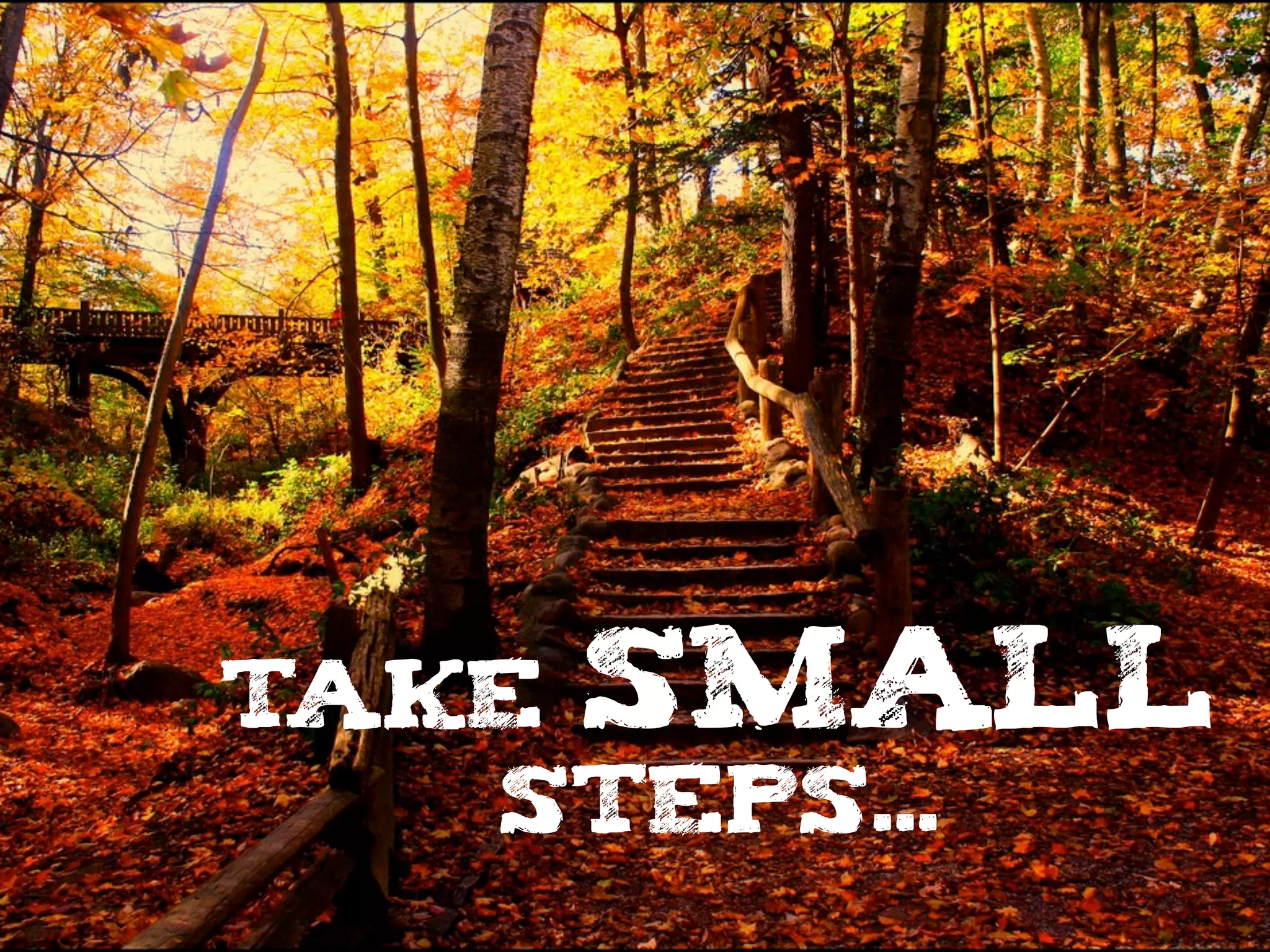 TAKE SMALL
STEPS...