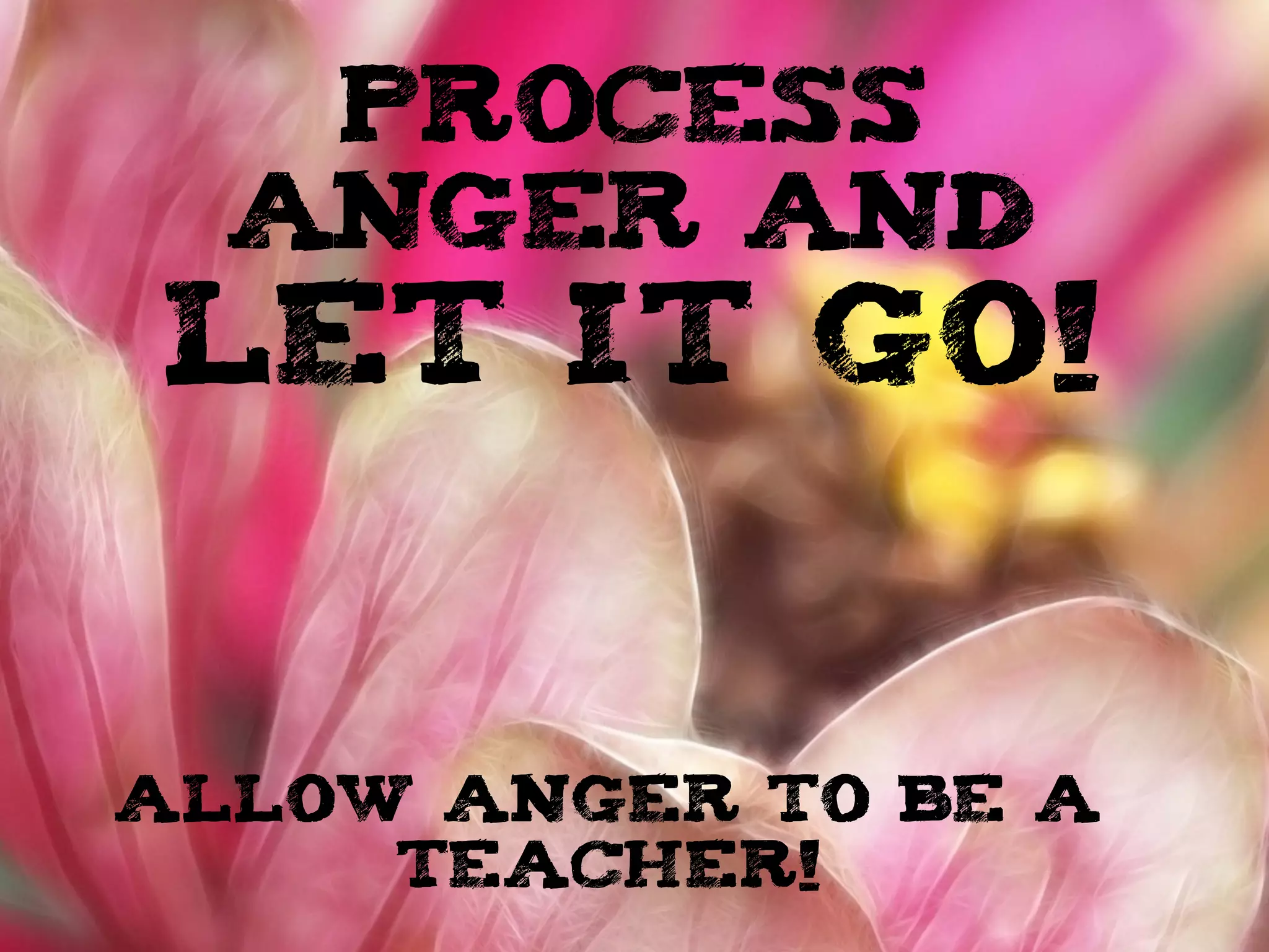 PROCESS
ANGER AND
LET IT GO!
allow anger to be a
teacher!