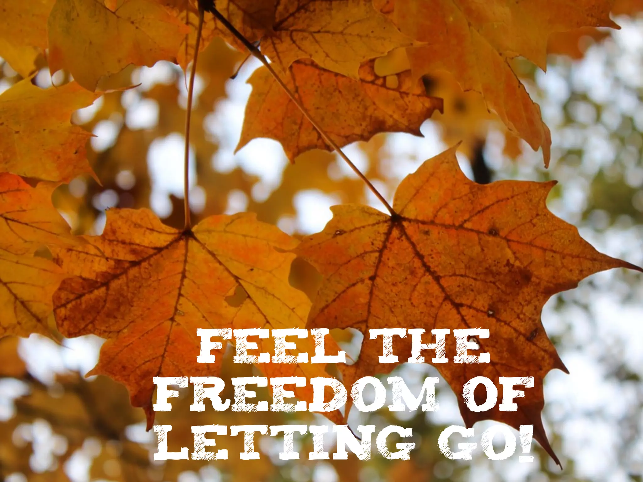 FEEL THE
FREEDOM OF
LETTING GO!