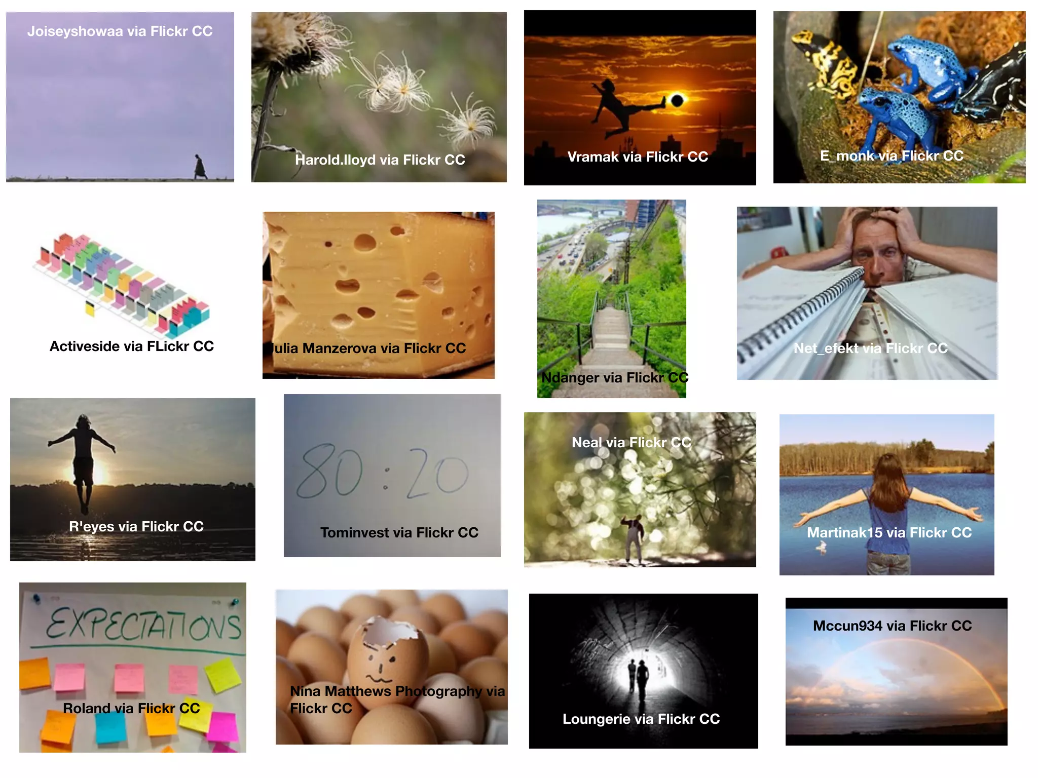 Joiseyshowaa via Flickr CC
Harold.lloyd via Flickr CC Vramak via Flickr CC E_monk via Flickr CC
Activeside via FLickr CC Julia Manzerova via Flickr CC
Ndanger via Flickr CC
R'eyes via Flickr CC
Neal via Flickr CC
Tominvest via Flickr CC Martinak15 via Flickr CC
Roland via Flickr CC
Nina Matthews Photography via
Flickr CC
Loungerie via Flickr CC
Mccun934 via Flickr CC
Net_efekt via Flickr CC