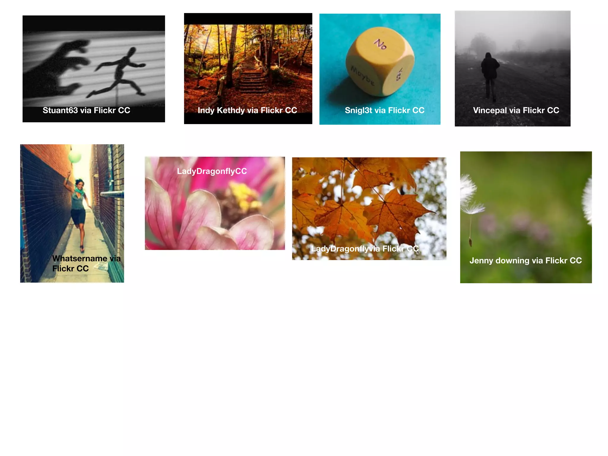 Stuant63 via Flickr CC Indy Kethdy via Flickr CC Snigl3t via Flickr CC Vincepal via Flickr CC
Whatsername via
Flickr CC
Jenny downing via Flickr CC
LadyDragonflyvia Flickr CC
LadyDragonflyCC