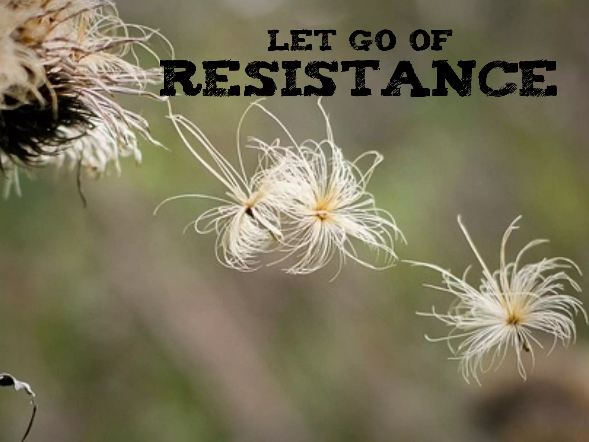 LET GO OF
resistance
