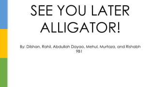 SEE YOU LATER
ALLIGATOR!
By: Dilshan, Rahil, Abdullah Dayao, Mehul, Murtaza, and Rishabh
9B1
 
