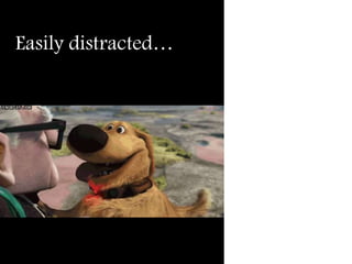 Easily distracted…
 