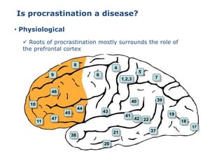 Is procrastination a disease?
• Physiological
 Roots of procrastination mostly surrounds the role of
the prefrontal cortex
 