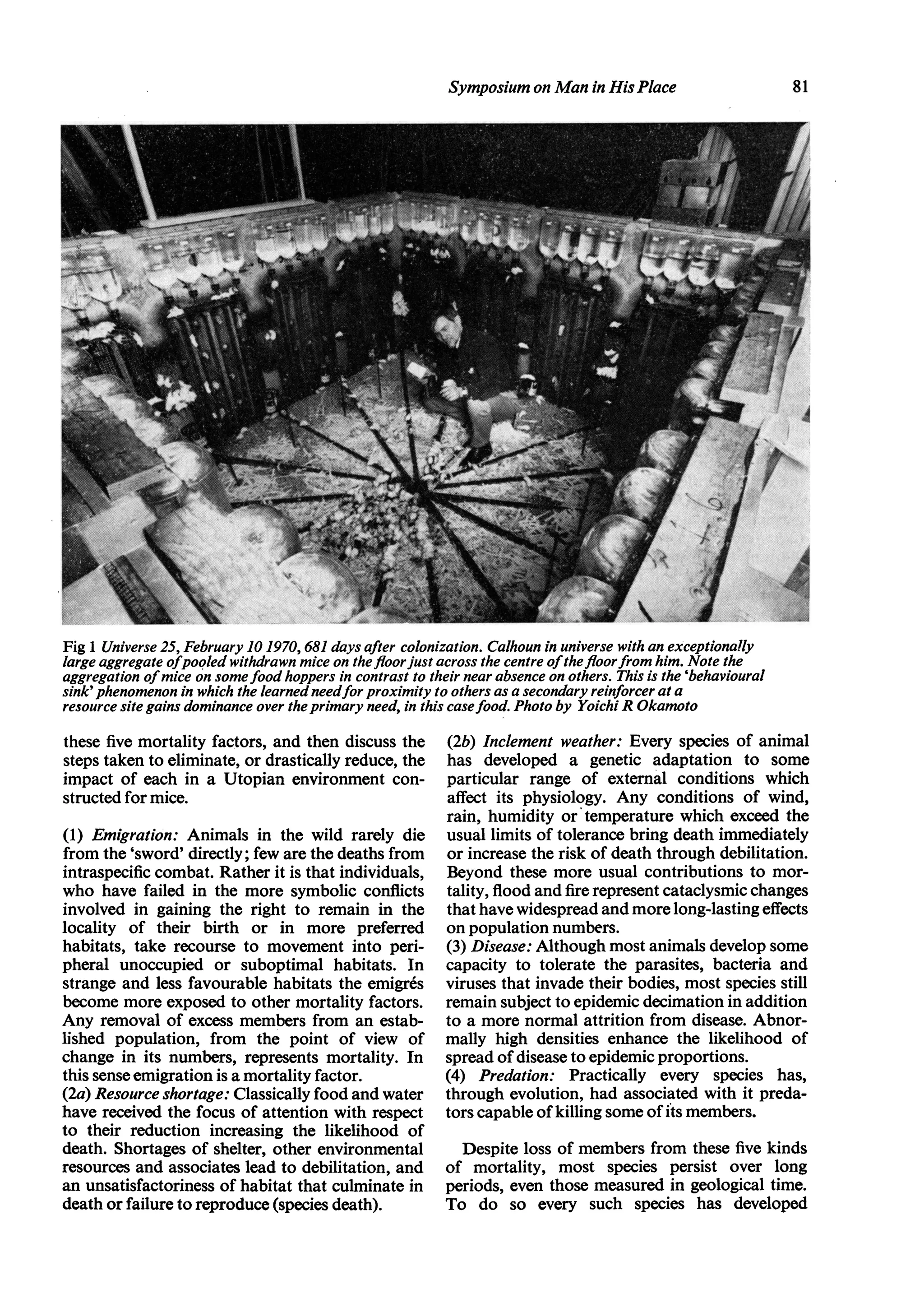 Raerockhold'S Demise: Fueled By Explosive Leaks - qk2sjcz