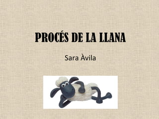 PROCÉS DE LA LLANA
Sara Àvila
 