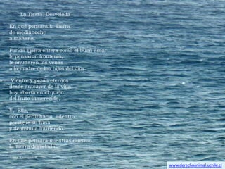 - Der Gerichtshof fordert alle Küstenstaaten auf, ihre exklusive Wirtschaftszone (bis zu 200 Seemeilen) zur Schutzzone zu erklären und die Jagd und den Fang aller Walarten (Wale, Delfine, Tümmler, Schwertwale) zu verbieten. 