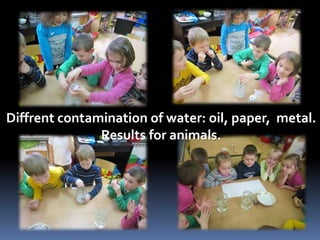 Diffrent contamination of water: oil, paper, metal. 
Results for animals. 
 