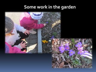 Some work in the garden 
 