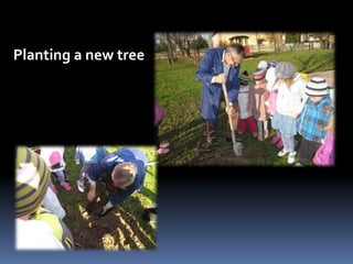 Planting a new tree 
 