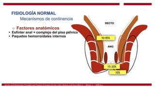 Procto 4 Procto final ANATOMIA , FISIOLOGIA Y RELACIONES | PPTX