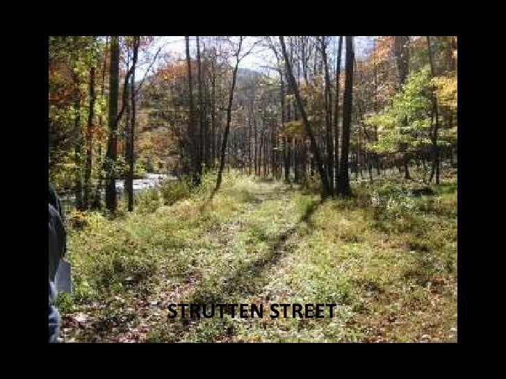 proctor nc slideshow proctor nc