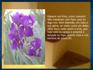 Reparai nos lírios, como crescem! Não trabalham nem fiam; pois Eu digo-vos: Nem Salomão, em toda a sua glória, se vestiu como um deles. 28Se Deus veste assim a erva, que hoje está no campo e amanhã é lançada no fogo, quanto mais a vós, homens de pouca fé!  