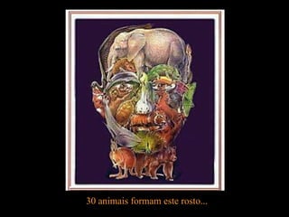 30 animais formam este rosto... 