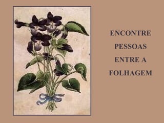 ENCONTRE PESSOAS ENTRE A FOLHAGEM 