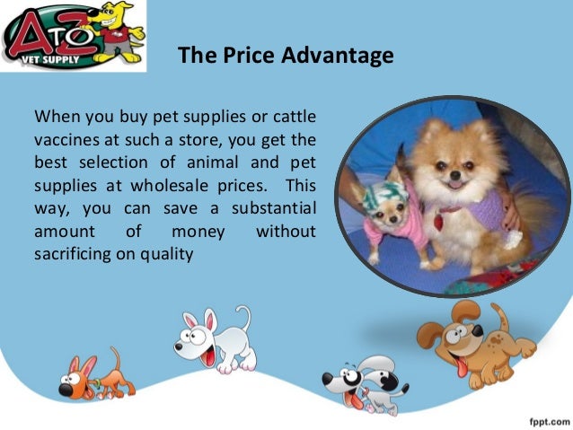 wholesale pet store
