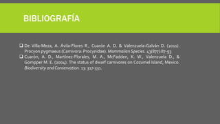 BIBLIOGRAFÍA
 De Villa-Meza, A. Ávila-Flores R., Cuarón A. D. & Valenzuela-Galván D. (2011).
Procyon pygmaeus (Carnivora: Procynidae). MammalianSpecies. 43(877):87-93
 Cuarón, A. D., Martínez-Florales, M. A., McFadden, K. W., Valenzuela D., &
Gompper M. E. (2004). The status of dwarf carnivores on Cozumel Island, Mexico.
Biodiversity andConservation. 13: 317-331.
 
