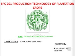 SPC 201 PRODUCTION TECHNOLOGY OF PLANTATION
CROPS
TOPIC: PRODUTION TECHNOLOGY OF COFFEE
COURSE TEACHER : Prof .Dr. M.S MARICHAMY
PRESENTED BY,
K.BALA MURUGAN
16UHR006
 