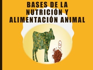 BASES DE LA
NUTRICIÓN Y
ALIMENTACIÓN ANIMAL
 