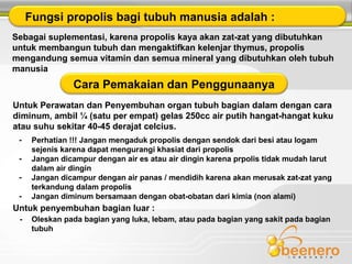 Sebagai suplementasi, karena propolis kaya akan zat-zat yang dibutuhkan untuk membangun tubuh dan mengaktifkan kelenjar thymus, propolis mengandung semua vitamin dan semua mineral yang dibutuhkan oleh tubuh manusia Untuk Perawatan dan Penyembuhan organ tubuh bagian dalam dengan cara diminum, ambil ¼ (satu per empat) gelas 250cc air putih hangat-hangat kuku atau suhu sekitar 40-45 derajat celcius. Perhatian !!! Jangan mengaduk propolis dengan sendok dari besi atau logam sejenis karena dapat mengurangi khasiat dari propolis Jangan dicampur dengan air es atau air dingin karena prpolis tidak mudah larut dalam air dingin Jangan dicampur dengan air panas / mendidih karena akan merusak zat-zat yang terkandung dalam propolis Jangan diminum bersamaan dengan obat-obatan dari kimia (non alami) Untuk penyembuhan bagian luar : Oleskan pada bagian yang luka, lebam, atau pada bagian yang sakit pada bagian tubuh  - - - - - Fungsi propolis bagi tubuh manusia adalah :  Cara Pemakaian dan Penggunaanya 