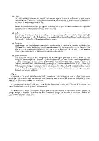 b) Peso
La clasificación por peso es más sencilla. Bastará con separar los huevos en lotes de un peso lo más
uniforme posible y ajustado a las especificaciones establecidas que van de enanos con un peso promedio
por huevo de 35g hasta gigantes de 70g.
Existen máquinas clasificadoras que separan los huevos por su peso en forma automática. Su capacidad
va de unas docenas hasta varios miles de huevos por hora.
c) Color
La única clasificación por el color de los huevos es separar los de color blanco de los de color café. El
factor que determina el color de la cáscara es la raza ponedora. Las gallinas Rhode Island rojas ponen
huevos cafés y las Leghorn Blancas, ponen huevos blancos.
d) Empaque
Los empaques que han dado mejores resultados son las rejillas de cartón y las bandejas moldeadas. Las
rejillas están formadas por láminas de cartón con ranuras que permiten trabajarlos entre sí, formando una
serie de compartimientos cuadrados en los que cabe un huevo solamente. Para su transporte las bandejas
llenas se pueden introducir en cestos cuadrados de alambre soldado.
e) Almacenamiento
Los huevos se almacenan bajo refrigeración en la granja, para preservar su calidad hasta que sean
recogidos por el comprador. La cámara frigorífica debe lavarse con agua caliente y un detergente fuerte.
Después se enjuaga con una solución de hipoclorito para eliminar todo tipo de olores. Terminada la
limpieza, la cámara debe ventilarse hasta que se seque. La cámara debe mantenerse a 10°C y a un 70%
de humedad relativa para mantener el huevo almacenado por 10 días. Cuando se requiere almacenarlos
por periodos más largos, deben seleccionarse huevos limpios que no hayan sido lavados y que no tengan
defectos ni grietas en la cáscara.
Carne
Para matar al ave, se cuelga de las patas con la cabeza hacia a bajo. Después se toma su cabeza con la mano
izquierda y hacia arriba. Con un chuchillo bien afilado se hace un corte por debajo del lóbulo de la oreja.
Después se deja desangrar el ave por un minuto.
El ave desangrada se sumerge en agua a 53°C durante 3 minutos o en agua a 61°C durante 1 ½ minutos. Esto
afloja los músculos cutáneos y facilita el desplumado.
El desplumado se puede hacer a mano después de la escaladura. Primero se arrancan las plumas grandes del
cuerpo. Luego se eliminan las plumas más finas frotando el cuerpo con la mano y los dedos. Después del
desplumado se extraen las vísceras.
 