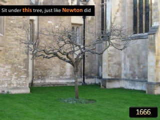 Sit under this tree, just like Newton did
 