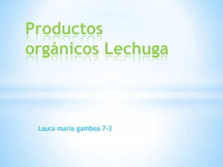 Productos
orgánicos Lechuga



 Laura maría gamboa 7-3
 