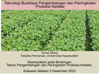 1
Teknologi Budidaya Pengembangan dan Peningkatan
Produksi Kedelai
Yunus Musa
Fakultas Pertanian, Universitas Hasanuddin
Disampaikan pada Bimbingan
Teknis Pengembangan dan Peningkatan Produksi Kedelai,
Sulawesi Selatan 5 Desember 2023
 