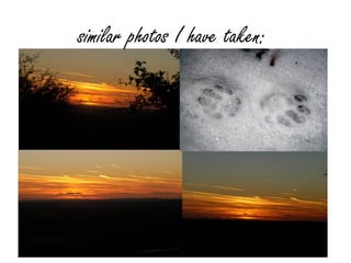 similar photos I have taken:
 