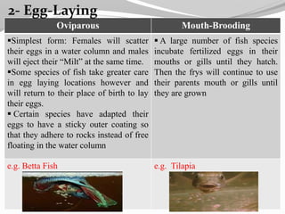 reprodective in fish 2019 | PPTX